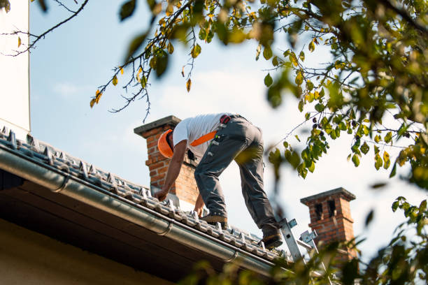 Fast & Reliable Emergency Roof Repairs in Van Vleck, TX